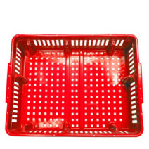 Vegetable Transport Tray