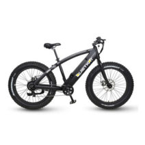 QuietKat ROVER Electric Bike