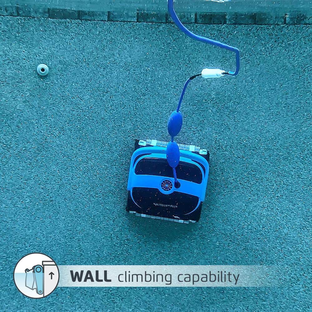 Dolphin Nautilus CC Plus Pool Cleaner 6