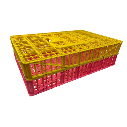 Pakster Poultry Transport Crate Chicken Coop - Rainbow