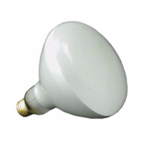 Pentair Amerlite 500 Watt Inground Pool Light Replacement Bulb