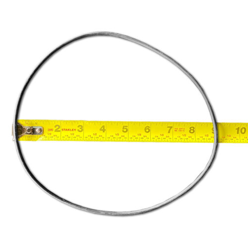 Excel 1.5hp Pump Motor Cover O Ring