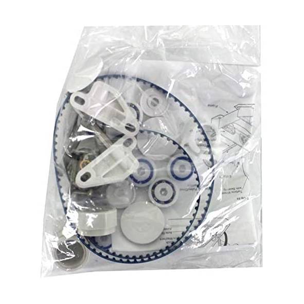 Polaris 360/ 380 Original Factory Rebuild Kit6