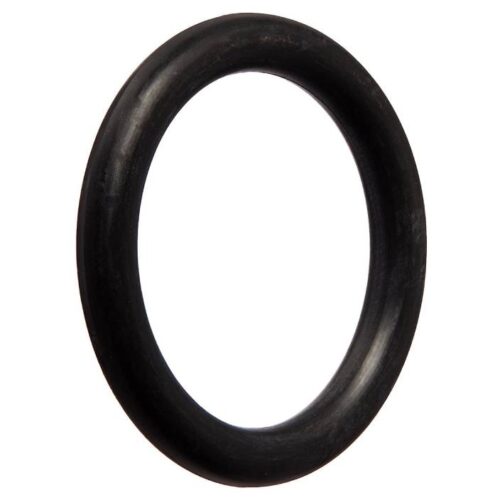 Hayward AX5010G10 Phantom Wall Quick Connect Oring 1