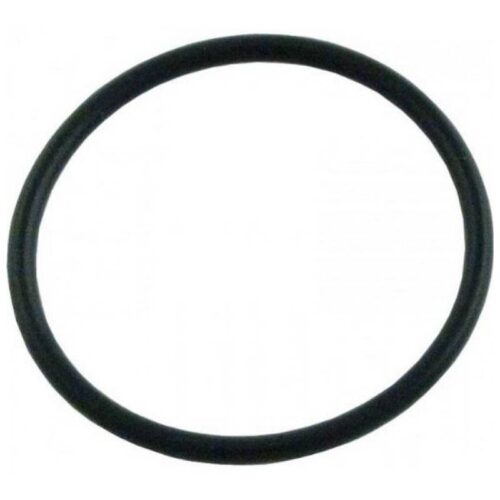 Hayward AX5010G19 Viper Inline Filter Oring 1