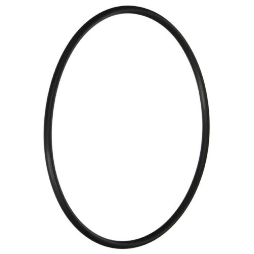Hayward AXW542 W530/W560 Leaf Canister Lid Oring 1