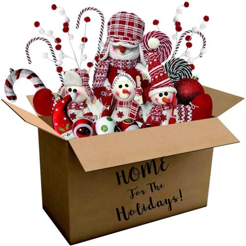 Fraser Hill Farm 225 Piece Peppermint Ornament Set