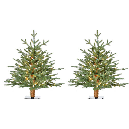 Fraser Hill Farm 2' Green Alpine Christmas Tree - Warm White LED Lights Set