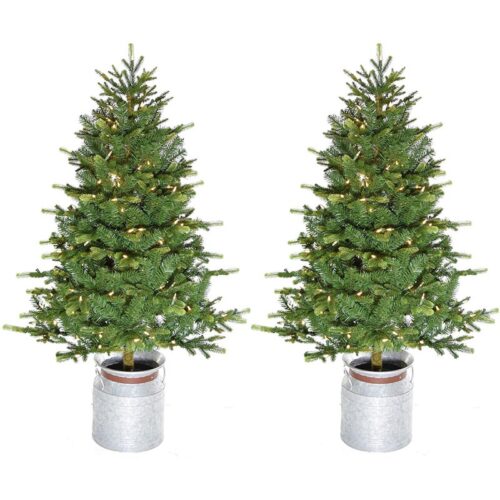 Fraser Hill Farm 3.5' Potted Christmas Tree Set - Warm White LED Lights