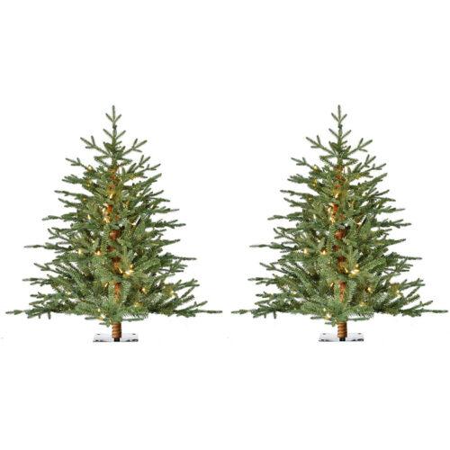 Fraser Hill Farm 3' Green Alpine Christmas Tree - Warm White LED Lights Set