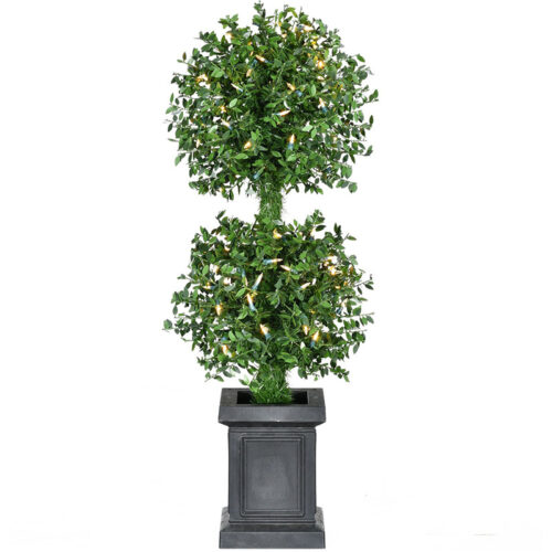 Fraser Hill Farm 3' Potted Boxwood Tree - Battery Operated Warm White LED Lights