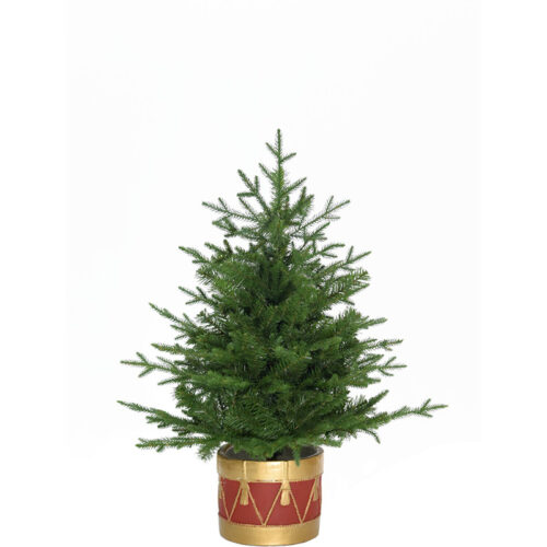 Fraser Hill Farm 3' Red Drum Potted Adirondack Christmas Tree - No Light