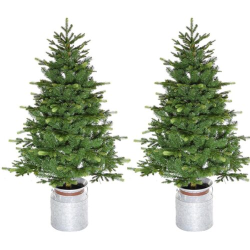 Fraser Hill Farm 4.5' Potted Christmas Tree Set - No Light