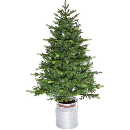 Fraser Hill Farm 4.5' Potted Christmas Tree - No Light