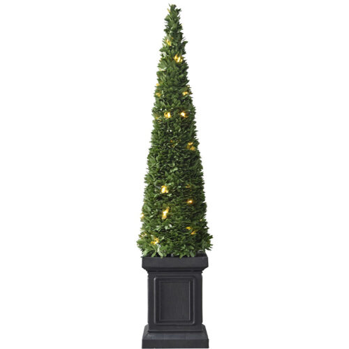 Fraser Hill Farm 40" Potted Boxwood Topiary Pyramid - Clear LED Lights