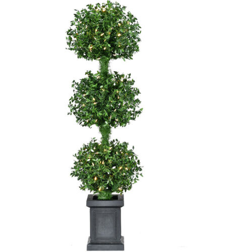 Fraser Hill Farm 4' Potted Boxwood Tree - Battery Operated Warm White LED Lights