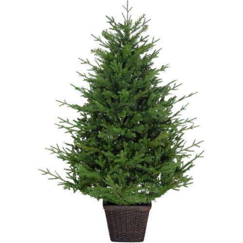 Fraser Hill Farm 5' Basket Potted Adirondack Christmas Tree - No Light