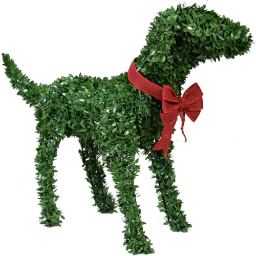 Fraser Hill Farm Green 28" Boxwood Pup without Lights