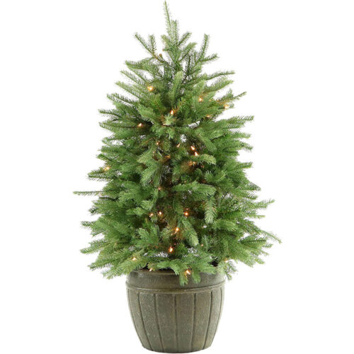 Fraser Hill Farm Green 4' Potted Pine Tree - Clear Lights