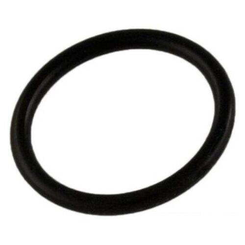 Polaris D24 180 Quick Disconnect Plug O-Ring 1
