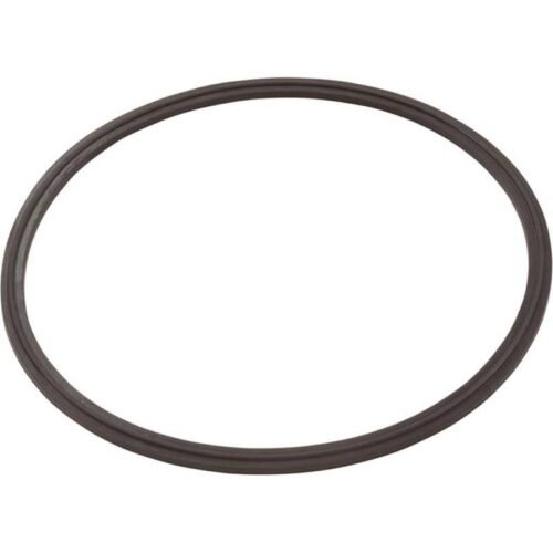 Polaris R0623300 Leaf Catcher Seal 1