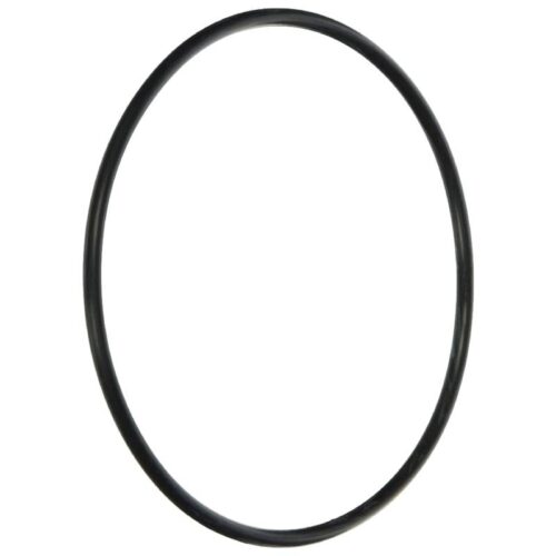 Zodiac R0374500 Energy Filter O-Ring 1