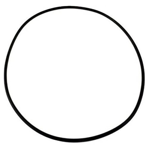 Hayward AX6060S 6060 Seal Plate Oring 1