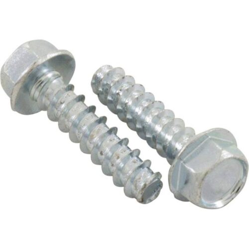 Hayward SPX1600Z52 2/PK Super || Mounting Foot Cap Screw 1