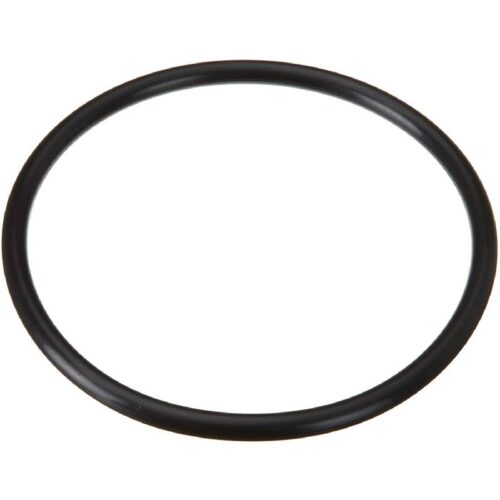 Hayward SPX2300Z4 MaxFlo XL Strainer Cover Oring 1