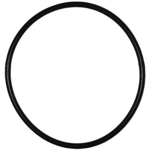 Hayward SPX4000S NorthStar Strainer Cover Oring (AFTER 2007)