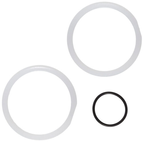 Hayward Seal ring and O-ring