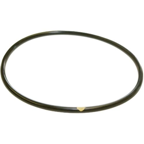 Hayward CLX200K CL200/CL220 Viton Lid O-Ring 1