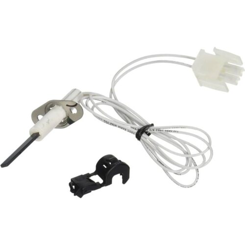 Hayward FDXLIGN1930 FD Series Ignitor 1