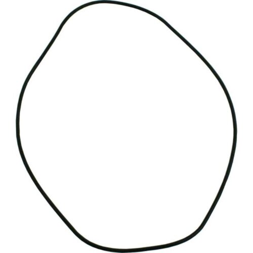 Hayward HAXHOR1930 ED1/ ED2 Header O-Ring
