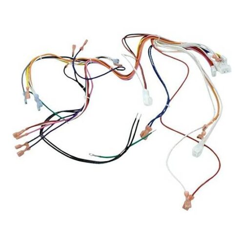 Hayward IDXLWHM1930 240V H-Series Low NOX Wire Harness Main 1