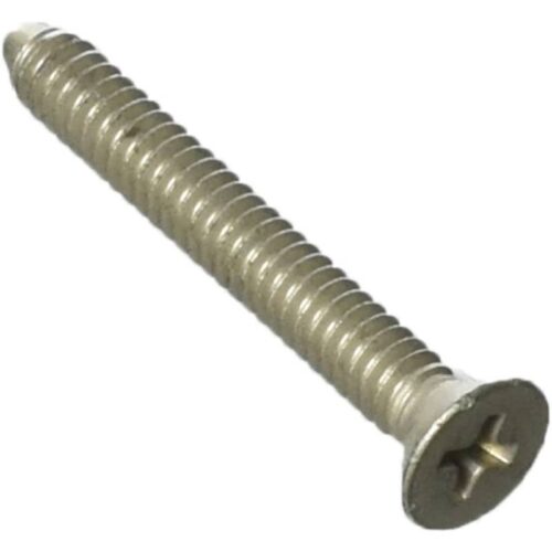 Hayward SPX0590Z2A AstroLite || Face RNG LockScrew W/Fastener 1