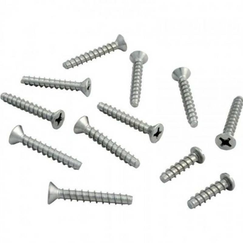 Hayward SPX0607Z1A PVC Niches Screw Set 1