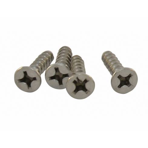 Hayward SPX1039Z1A 4PK Vinyl Inlet Fitting Face Plate Screw 1
