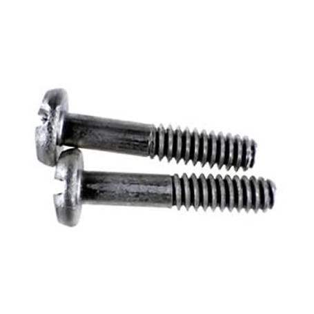 Hayward WGX1030Z2AM 2/PK Screw F/ 1048 & 1049 Drains W/ Metal Inserts 1