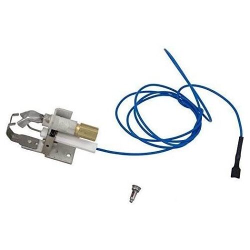 Raypak 002003F NG OR LP IID Pilot Assy 1