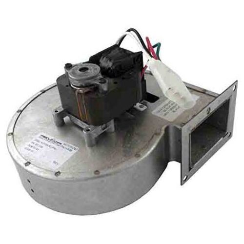 Raypak 008080F R185A- R405A Low NOX Blower 1