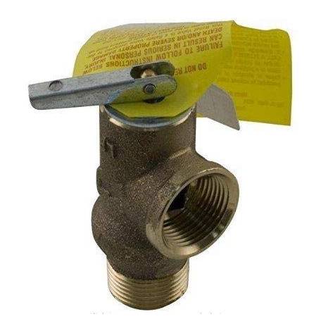 Raypak 008091F 125PSI Pressure Relief Valve