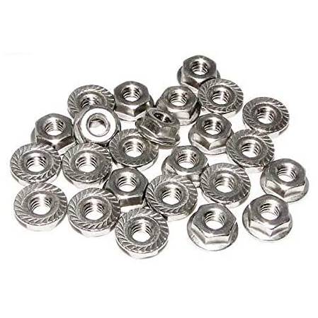 Raypak 008259F .25-20 Flange Nut Kit 1