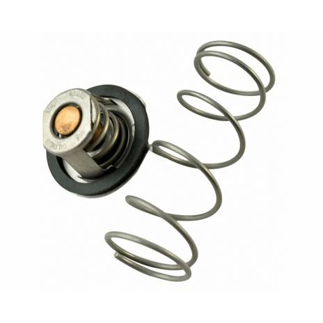 Raypak 062234B 155B-408 UniTherm Governor Kit