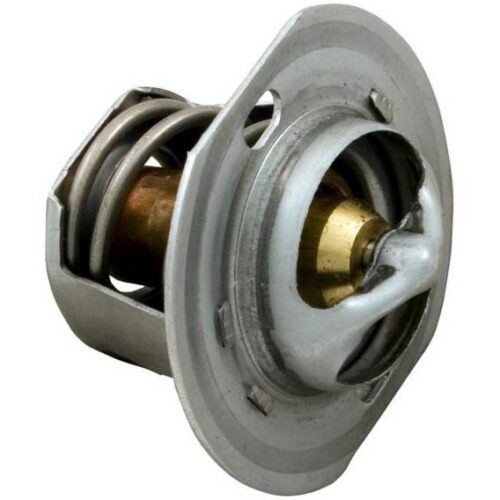 Raypak 600885 53A/ 53B/ 055A/ 055B Unitherm Governor 1