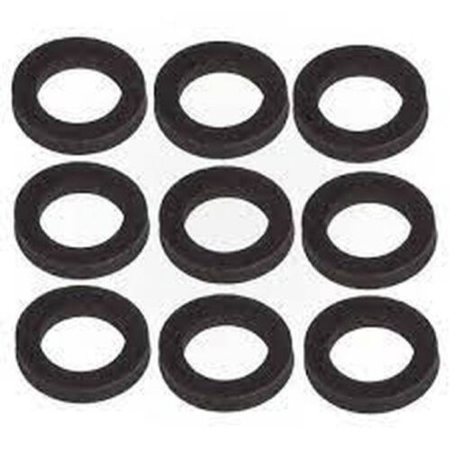 Raypak 800014B .75" 185A- 405A Flat Header Gasket 1