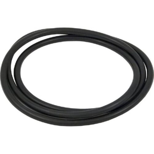 Hayward CCX1000G XStream Tank O-Ring 1