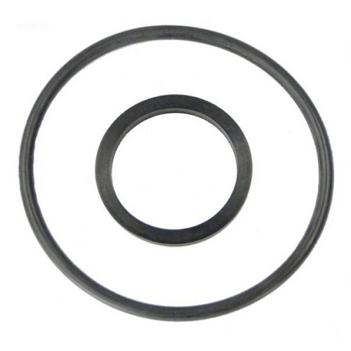 Hayward CCX1000Z5 XStream O-Ring 1
