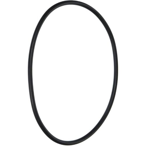 Hayward CX120D Micro StarClear Filter Body O-Ring 1