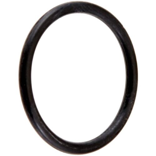 Hayward CX250Z7 StarClear II O-Ring 1